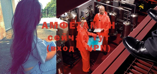 ПСИЛОЦИБИНОВЫЕ ГРИБЫ Арсеньев