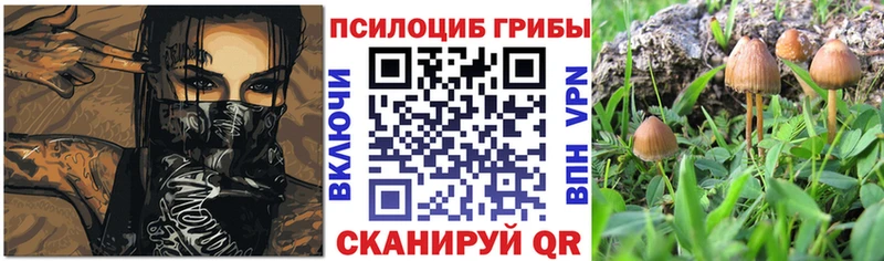 дарнет шоп Балей Псилоцибиновые грибы Magic Shrooms